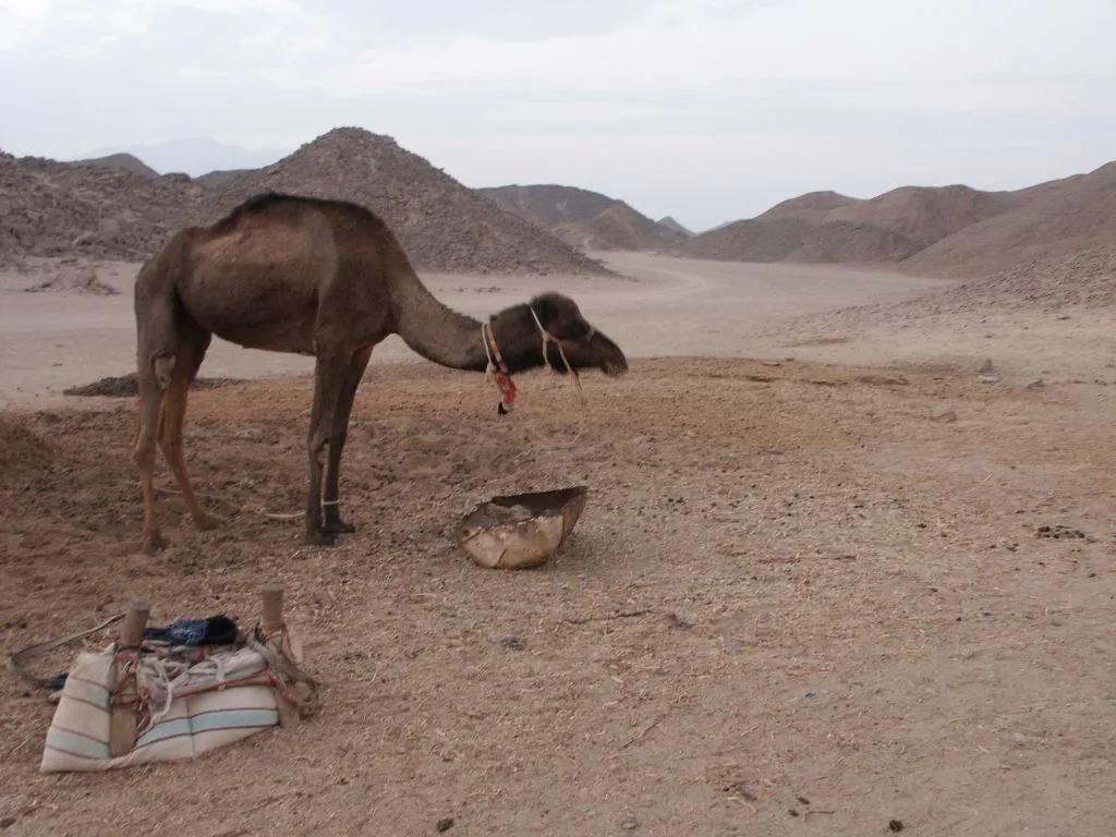 Discovery PM Tour discovery-pm-tour/7_PICT0052.JPG