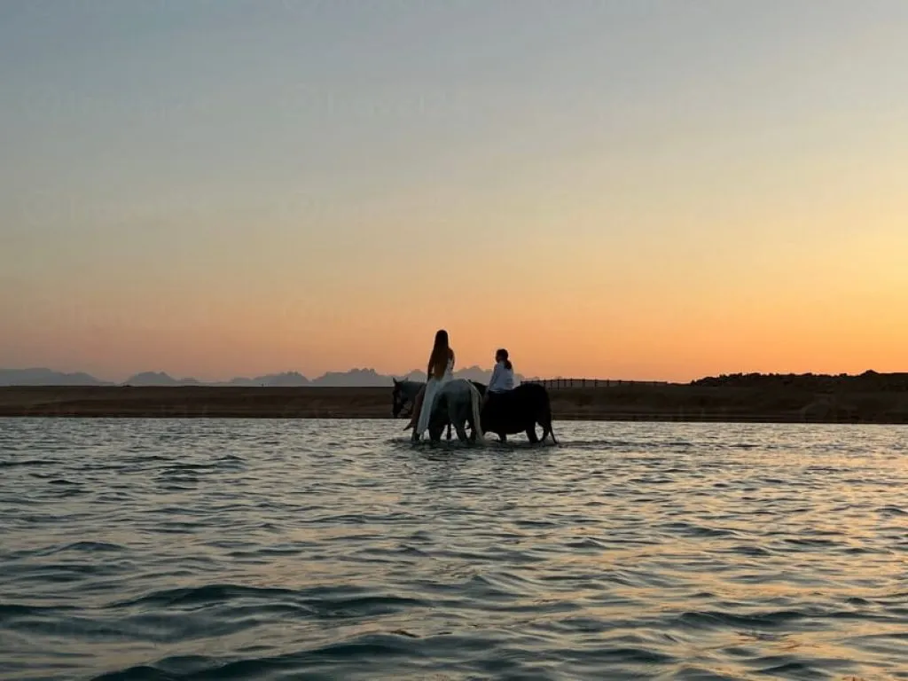 Horse Riding Adventure – Hurghada horse-riding-adventure-hurghada/horse-riding-adventure-hurghada-5.jpeg