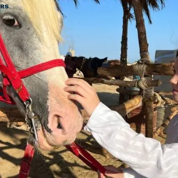 Horse Riding Adventure – Hurghada