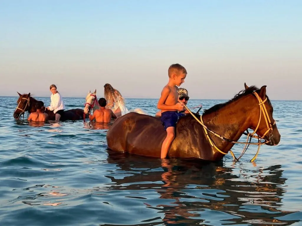 Horseback Riding & Sea Swimming Tour horseback-riding-sea-swimming-tour/WhatsApp_Image_2026-02-15_at_4_10_08_PM.jpeg