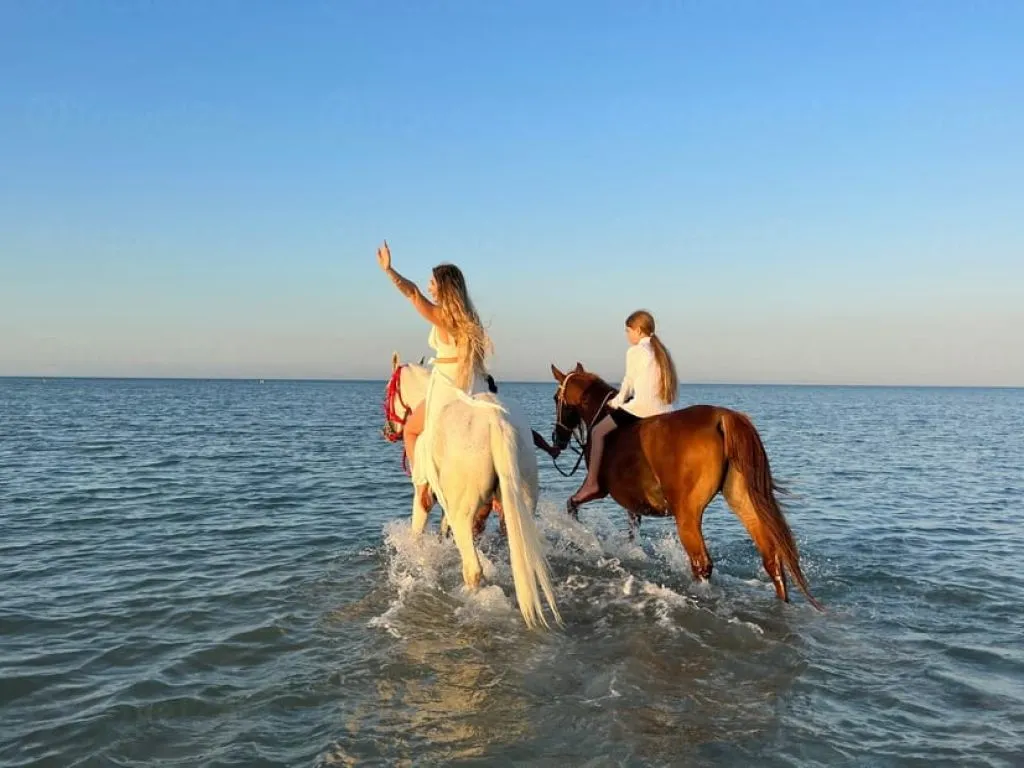 Horseback Riding & Sea Swimming Tour horseback-riding-sea-swimming-tour/WhatsApp_Image_2026-02-15_at_4_10_17_PM.jpeg