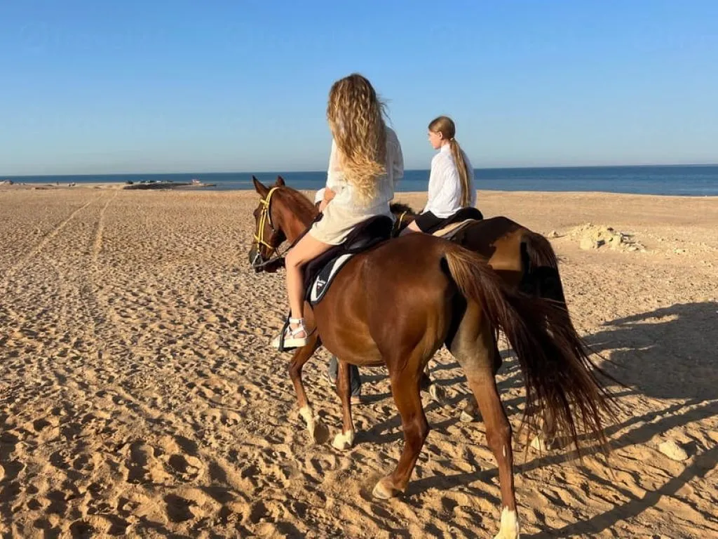 Horseback Riding & Sea Swimming Tour horseback-riding-sea-swimming-tour/WhatsApp_Image_2026-02-15_at_4_10_18_PM.jpeg