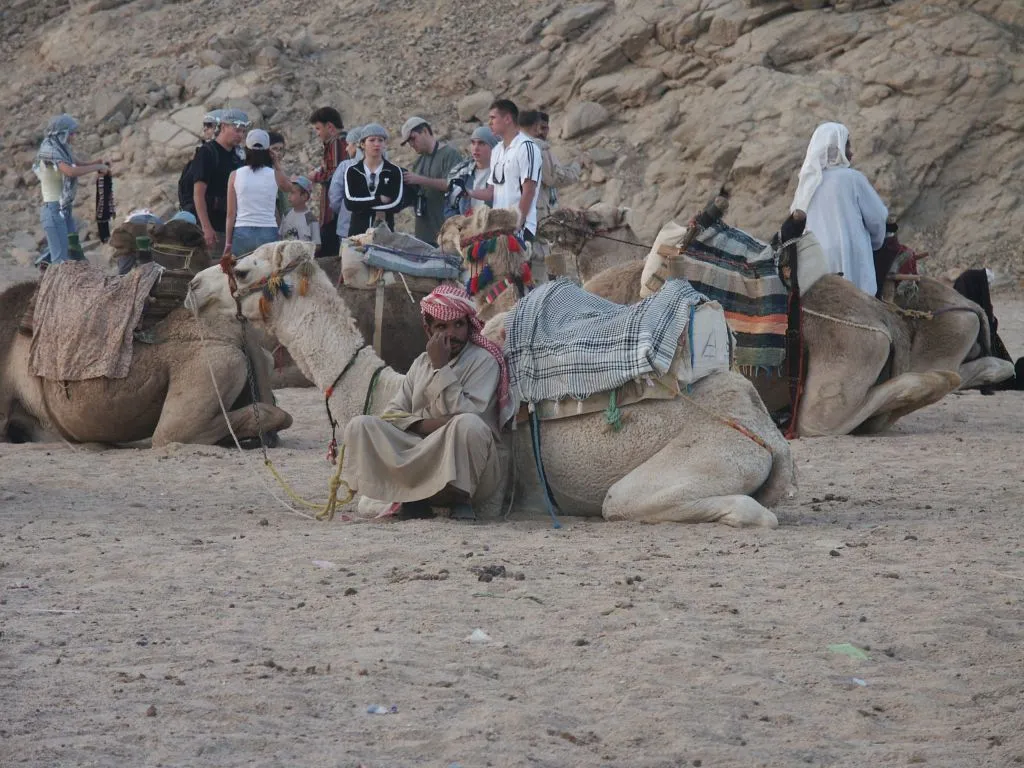 Hurghada Super Safari (The Complete Desert Adventure) hurghada-super-safari-the-complete-desert-adventure/7_PICT0040.JPG