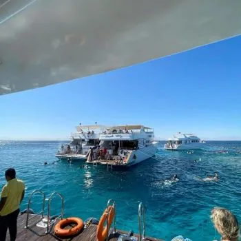 Red Sea Diving Adventure – Hurghada
