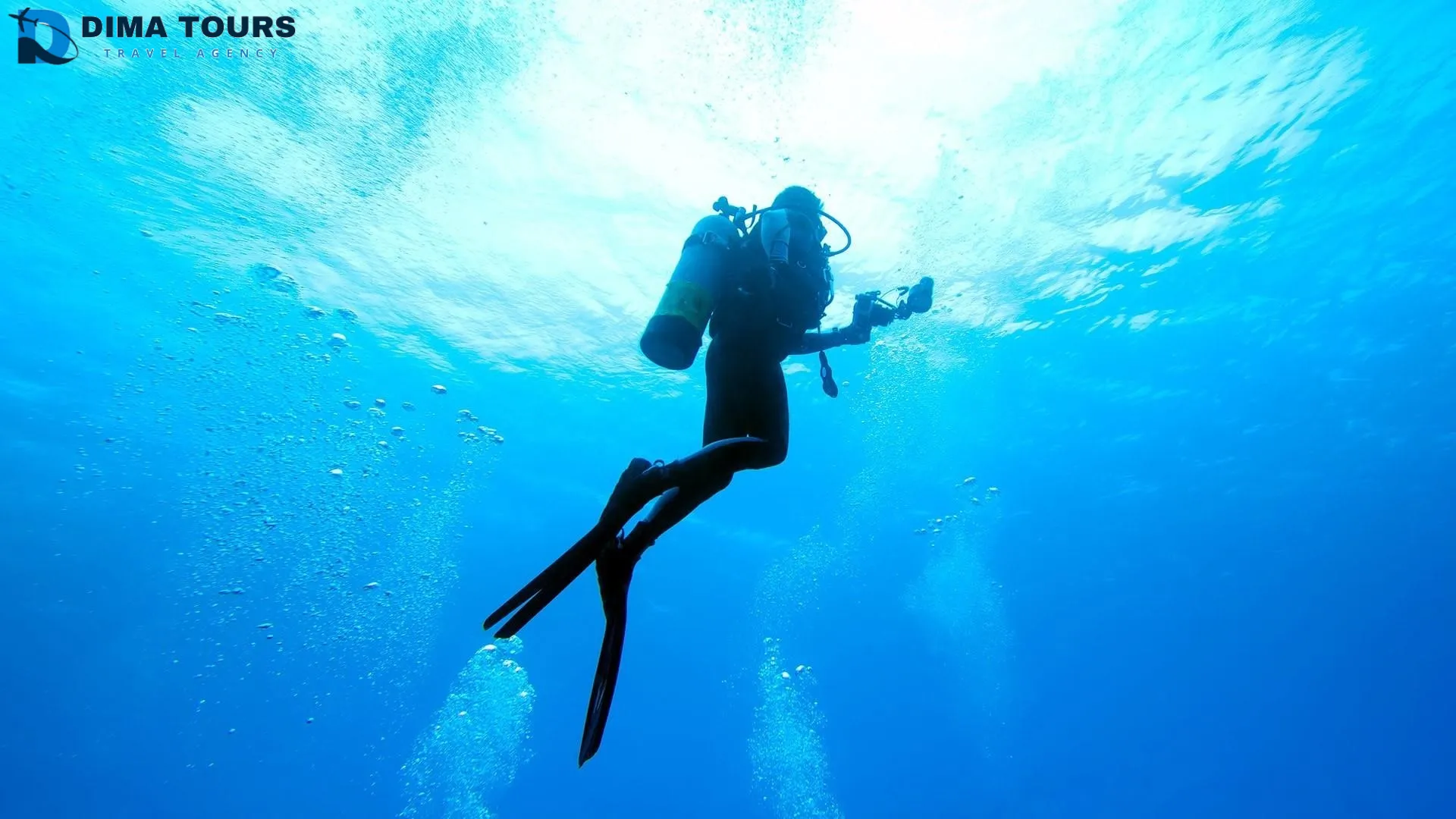 Explore the Red Sea Wonders