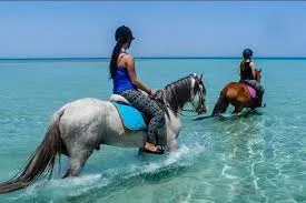Horseback Riding & Sea Swimming Tour